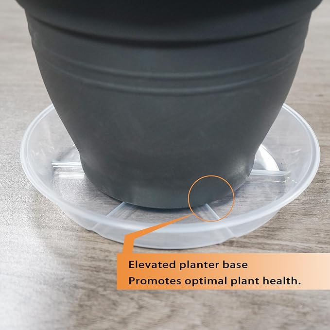 Plant Saucer 4 6 8 10 12 inch, 6 Packs Clear Planter Saucers Pot Trays, Durable Round Plastic Flower Plant Water Drip Tray for Pots, Plant Dish Plate to Catch Water for Indoor & Outdoor ( 6 inch)