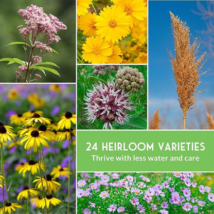 Native Wildflower Seeds for Planting 24 Variety Pack – Perennial & Annual North American Flowers for Butterfly & Bee-Friendly Pollinator Gardens – Non-GMO Heirloom – Survival Garden Seeds