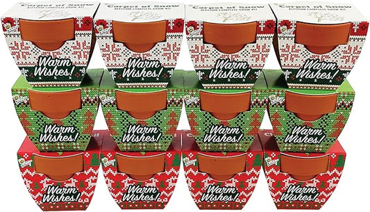 BUZZY Seeds Sweater Pattern Mini Terracotta Pots Grow Kit, 12-Pack Assorted Christmas Basil, Spruce, and Alyssum Seed Packets, Indoor Plant Starter Set, Stocking Stuffers, Party Favors