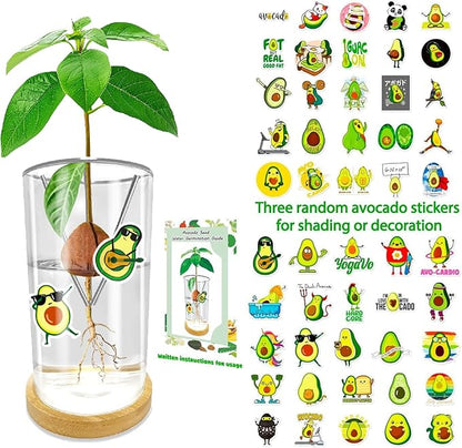 Avocado Seed Starter Vase - Avocado Tree Growing Kit with Base and Sticker, Glass Avocado Pit Sprouting Plant Pot Gift for Women, Gardening Lovers Home Office Table Decoration, Indoor No Seed