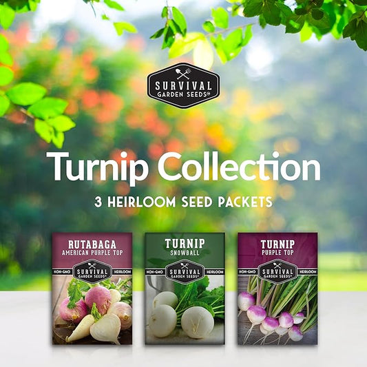 Turnip & Rutabaga Seeds Collection – 3 Varieties for Fall & Spring Planting | Purple Top Turnip, Snowball White Turnip, American Purple Top Rutabaga | Survival Garden Seeds