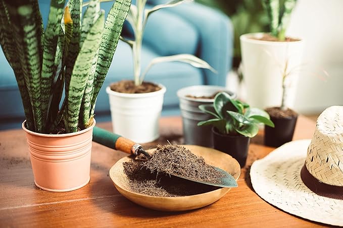 11 LBS of Coco Coir Potting Soil for Indoor Plants and Outdoor Plants. The Most Natural Coco Coir Bricks Available! The Coconut Coir Potting Mix is Great for Microgreens Growing Kit.