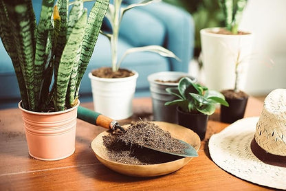 11 LBS of Coco Coir Potting Soil for Indoor Plants and Outdoor Plants. The Most Natural Coco Coir Bricks Available! The Coconut Coir Potting Mix is Great for Microgreens Growing Kit.