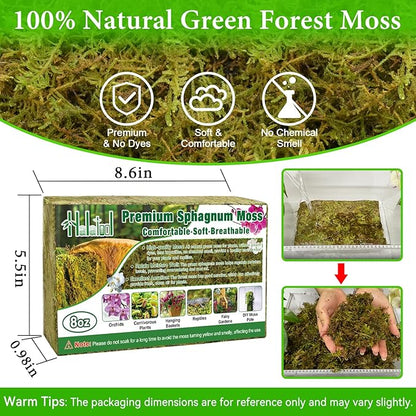 Halatool 8OZ Premium Sphagnum Moss for Plants, 12QT Green Moss for Plants Indoor Potted Orchid Moss for Repotting Succulent Carnivorous Terrarium Gardening Reptiles