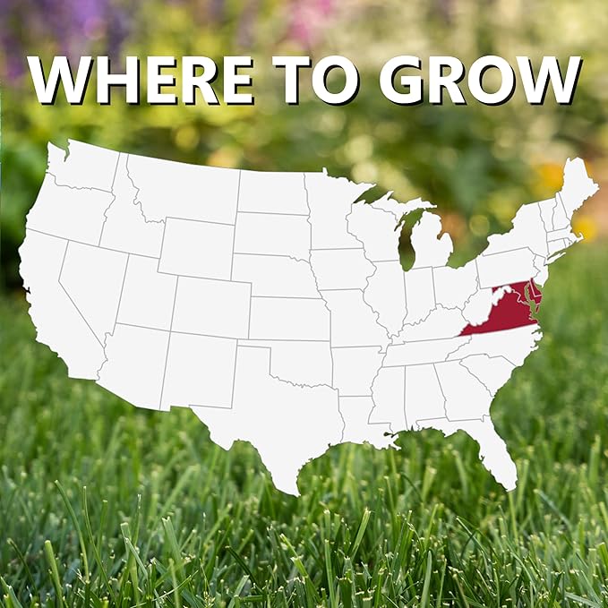 Jonathan Green (10390) Black Beauty Delmarva Grass Seed (Made for Maryland, Delaware, Virginia) - Cool Season Lawn Seed (3 lb)