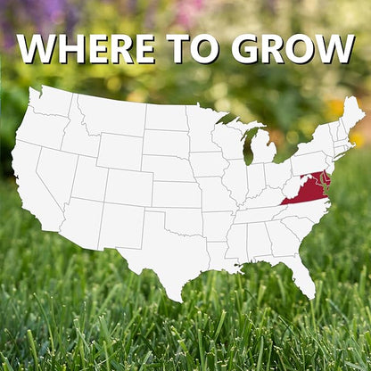Jonathan Green (10393) Black Beauty Delmarva Grass Seed Mix (Made for Maryland, Delaware, Virginia) - Cool Season Lawn Seed (50 lb.)