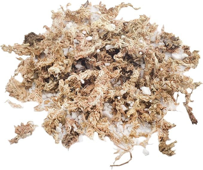 Soil Sunrise Sphagnum Moss Potting Mix (1 Quart) for Carnivorous Plants: Blend of Dried Moss with Perlite