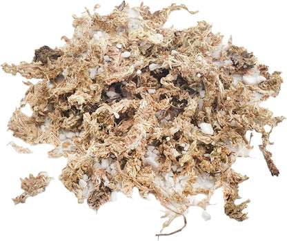 Soil Sunrise Sphagnum Moss Potting Mix (1 Quart) for Carnivorous Plants: Blend of Dried Moss with Perlite