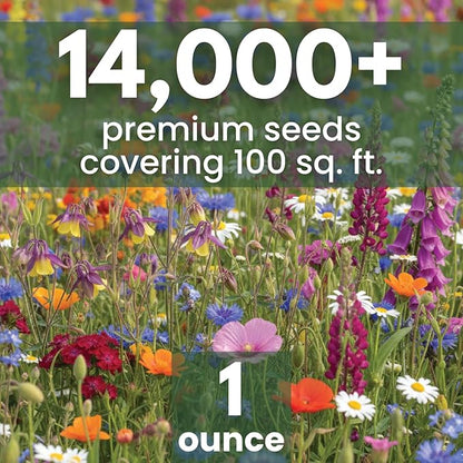 Shade Tolerant Mix – 14,000 Wildflower Seeds for Pollinator Gardens – 2026 Season – 1 Ounce Pouch