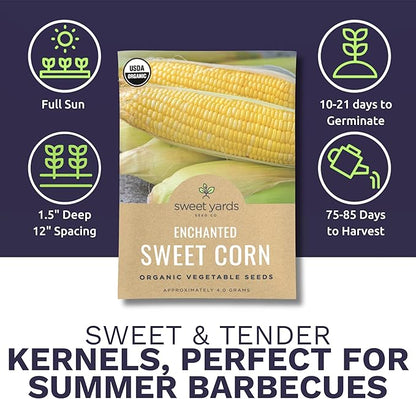 Sweet Yards Seed Co. Organic Enchanted Sweet Corn – Two Seed Packets! – Approx. 30 Open Pollinated Non-GMO Seeds 60 Total