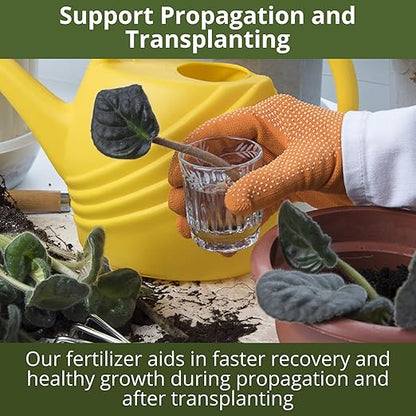 3-1-2 African Violet Fertilizer for Indoor Plants: Liquid Fertilizer with Essential Micronutrients Drops - Plant Food for African Violets (16 OZ)