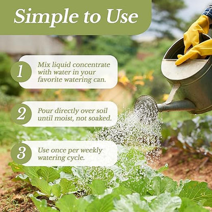 LEAVES AND SOUL Professional Liquid Cucumber Fertilizer | 5-1-5 Concentrate, Liquid Plant Fertilizer for Garden, Healthy Produce, Good Harvest, Multi-Purpose Blend & Gardening Supplies | 8 oz