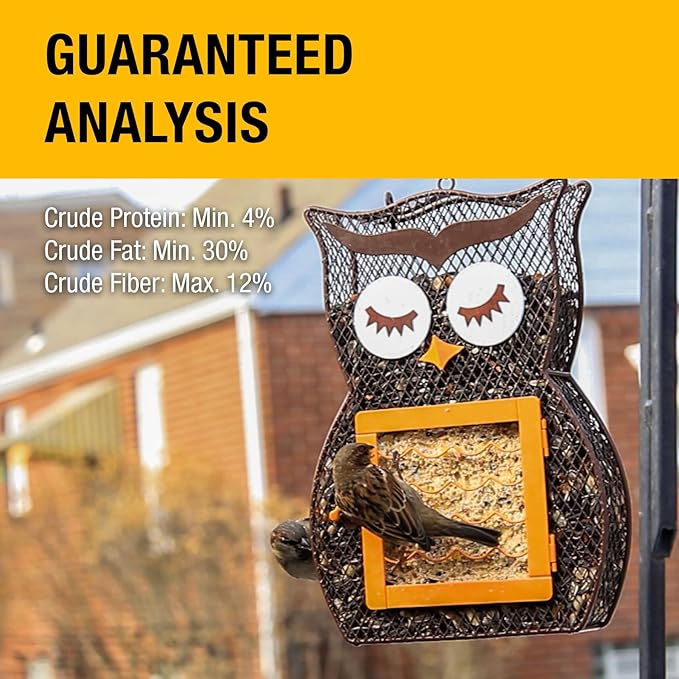 Heath Whimsical OWL Suet 'n Seed Bird Feeder for Sunflower Seeds with 2 Free Bird's Blend Suet Cakes Included