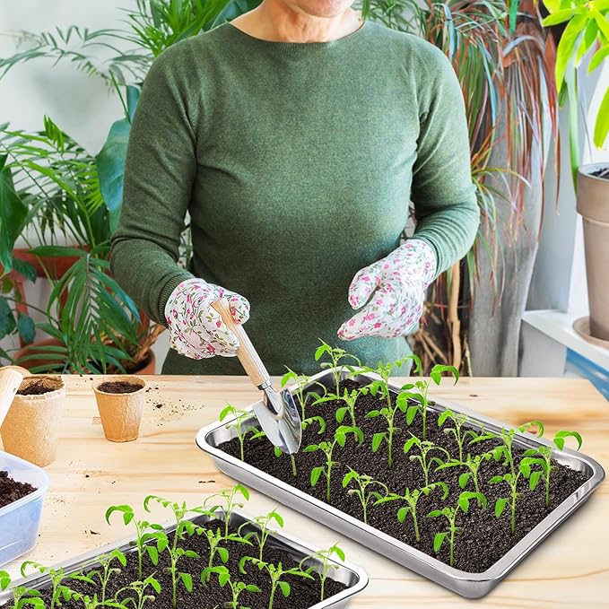Youeon 10 Pack Seed Starter Tray 15.3x11.4x1.3 Inch, Stainless Steel Seed Sprouting Trays Germination Trays for Beans, Wheat Grass, Herbs, Broccoli & More, Plant Trays for Indoor Outdoor