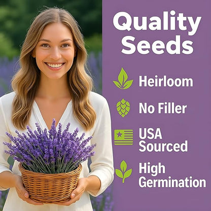 Premium English Lavender Seeds – 2,000 Non-GMO, USA-Grown Herb Seeds for Indoor & Outdoor Planting – High Germination Wildflower (Lavandula angustifolia)