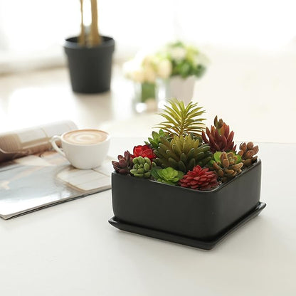 MyGift Modern Black Ceramic Square Indoor Small Planter, Flower Succulent Plant Pot with Drainage Hole and Removable Drip Tray