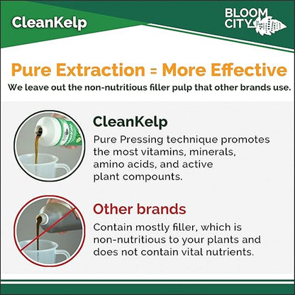 Bloom City Organic Liquid Seaweed and Kelp Fertilizer Supplement, Quart (32 oz) Concentrated Makes 180 Gallons