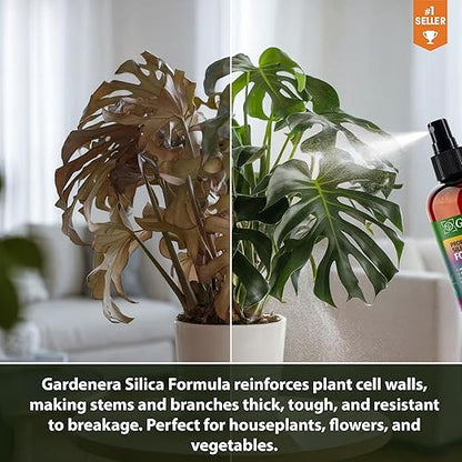 𝐒𝐔𝐏𝐄𝐑𝐈𝐎𝐑 Liquid Silica Boost Fertilizer and Supplement Spray for Mango Tree Plants – Pre-Mixed, Ready-to-Use Liquid Silicon Plant Superfood Mist for Indoor & Outdoor Plants – 8oz