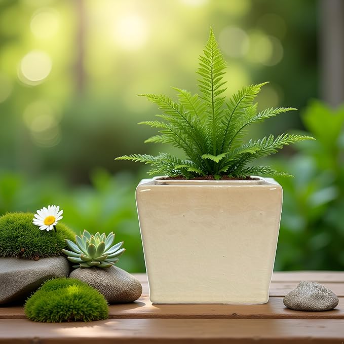 Admired by Nature 4" Ceramic Flower Planter Pot - for Home Decor, Indoor Gardens, Succulents, Organization, Display, Storage - Small White