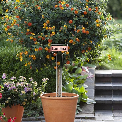 Wehhbtye 20 PCS 10 Inch Metal Plant Label Stakes-Copper Metal Plant Tags,High Copper Plate Plant Labels,Coppers Plant Tags with 1 Maker Pen for Flowers, Vegetables, Seedlings, Seed,etc