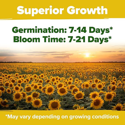HOME GROWN Sunflower Seeds for Planting | 8 Varieties |1000+ Non-GMO Sun Flower Seeds Packets to Plant: Grow Dwarf Sunflowers, Mexican Sunflowers, Wild, Lemon Queen,Autumn Beauty,Sunspot, Velvet Queen