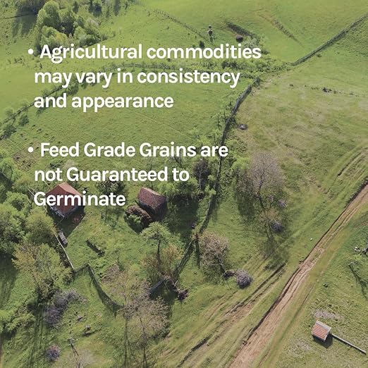 New Country Organics Alfalfa Meal Plant Fertilizer & Feed Supplement - Certified Organic & Non-GMO - Feed Grade - Suitable As Organic Feed Supplement & Organic Fertilizer - 50 Lbs
