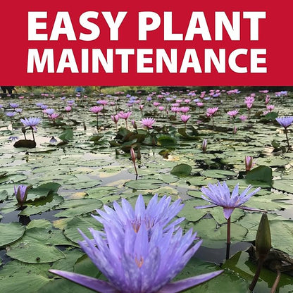 The Pond Guy Small Black Outdoor Planting Kit - Bag & Soil for Water Lilies & Bog Plants - 6 Quarts - Rectangular - Modern - Aeration - Adaptable Shape