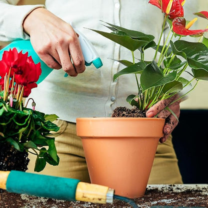 All-Natural Potting Soil for Anthurium & Indoor Plants 4qt - Enhanced Drainage, No Additives | Premium Indoor Plant Soil Mix
