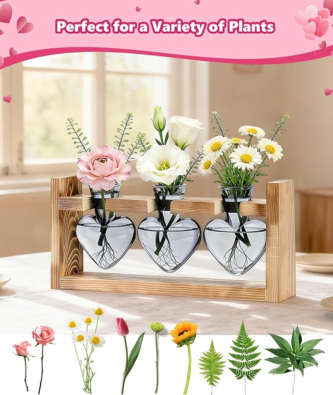Nacome Plant Terrarium Propagation Stations: Birthday Gifts for Plant Lovers Women Mom Wife Daughter - 3 Bulb Glass Vase with Wooden Stand Tabletop for Hydroponics Home Garden Decor(Gray)