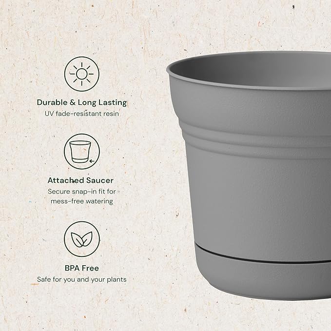 Bloem Saturn 7" Charcoal Round Resin Planter Pot with Snap-in Saucer for Indoor and Outdoor Gardening