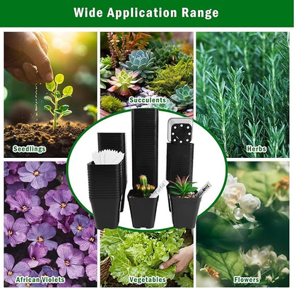 June Fox Small Seedling Pots 4 Inch, 100 Pcs Square Plant Pots Bulk, Plastic Nursery Pots with Drain Holes for Seedlings, Succulents, Cuttings (Black)