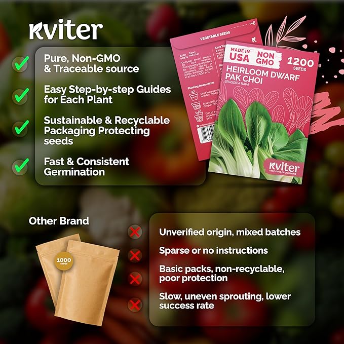 KVITER 1,200 Baby Bok Choy Seeds for Planting (Brassica rapa subsp. chinensis) – Heirloom Extra Dwarf Pak Choi, White Stem Chinese Variety – Organic Cabbage Seeds to Plant in Vegetable Garden