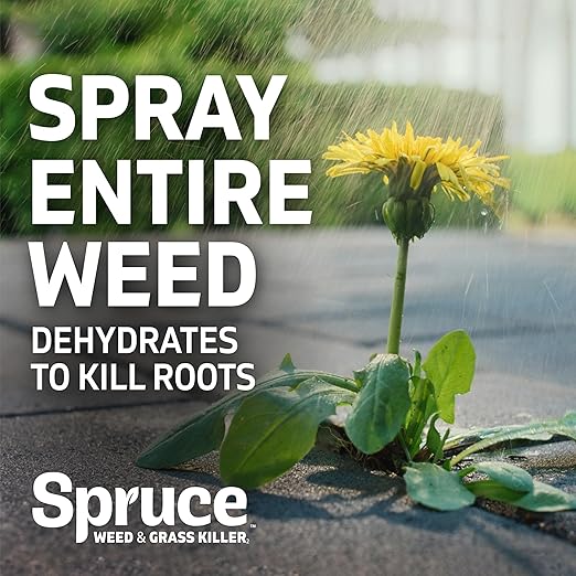 Spruce Weed Killer Refill - Versatile Weed & Grass Killer₂ for Flower Beds, Driveways & Mulch Beds - No Pour, No Mix, No Mess Refill - Kills Dandelions, Crabgrass & More (64 Oz)
