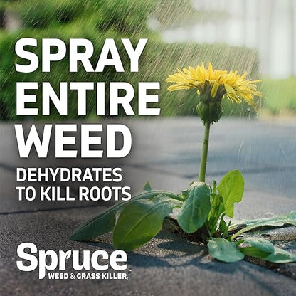 Spruce Weed Killer Refill - Versatile Weed & Grass Killer₂ for Flower Beds, Driveways & Mulch Beds - No Pour, No Mix, No Mess Refill - Kills Dandelions, Crabgrass & More (64 Oz)