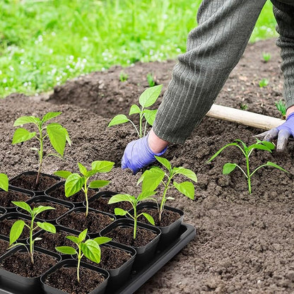 Thick Seedling Trays 3 Pics with 50 Pics Easy-to-Remove Nursery Pots, Durable Trays for Seed Starting, Propagation, and Microgreens