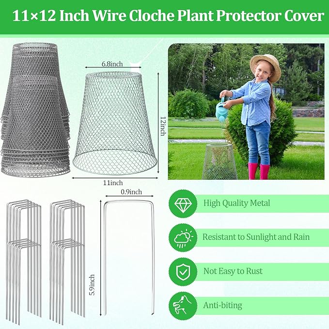 Therwen 6 Pcs Large Chicken Wire Cloche Plant Protector Cover 11x12 Inch Metal Garden Cloche Dome for Plants Wire Protection Basket with Garden Stakes Plant Cages from Animals (Silver)