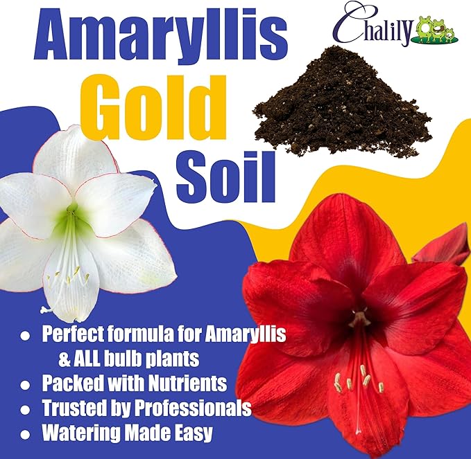 Chalily Amaryllis Potting Soil Perfect Planting Indoor & Outdoor House Tropical Mix Well Draining Houseplant Gardening Dirt Flower Paperwhites Hyacinth Premium Garden Poting (16 qt)