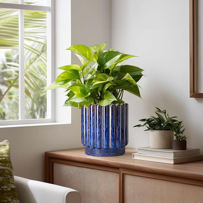 Ceramic Pots for Plants - 7.6 Inch Plant Pots Indoor with Drainage Hole, Fluted Round Ceramic Planter Outdoor, Modern Flower Planter, Home Office Living Room Decor, Garden Gifts, Blue