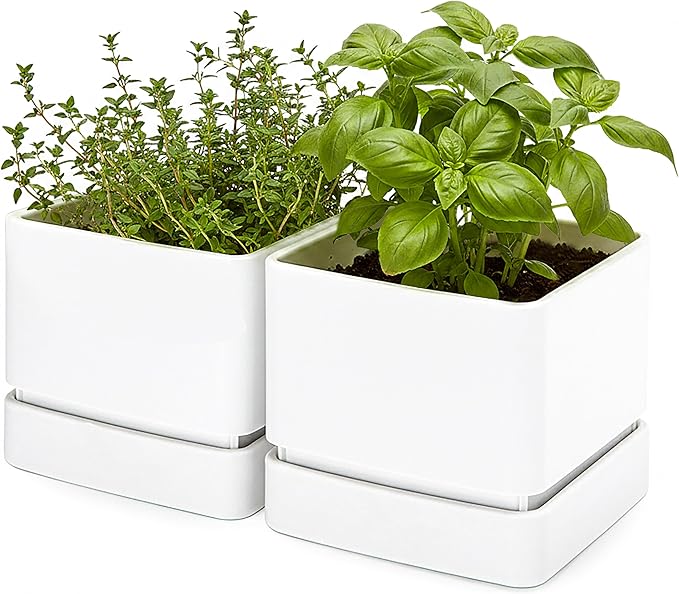 D'vine Dev 6 Inch Herb Planter Pot, Plastic Planter with Drainage Holes and Saucer, Modern Decorative Gardening Pot for Indoor Plants, Flowers, Herbs, Succulents, White, Set of 2, 76-Y-A2-2