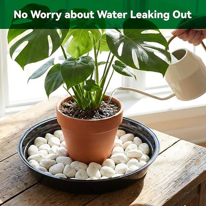 TRUEDAYS 20 Pack Black Plant Saucers – 4 Sizes (6"/8"/10"/12") Plastic Flower Pot Trays for Indoor & Outdoor Plants, Drip Trays to Protect Floors & Surfaces