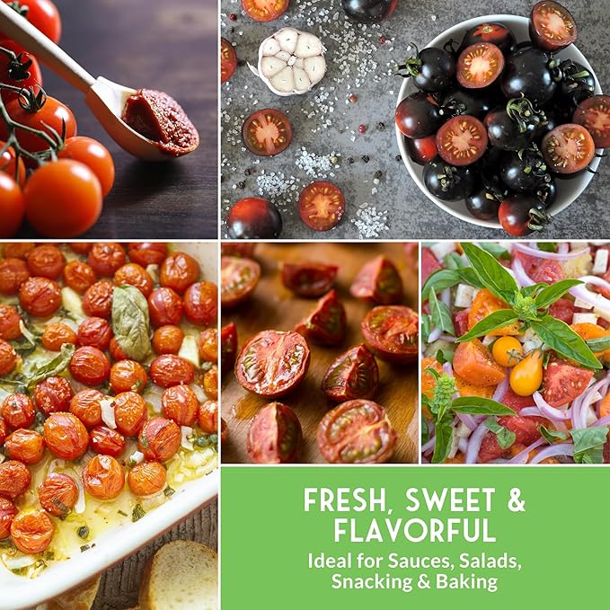 Cherry Tomato Seeds for Planting – 5 Variety Pack with Tiny Tim, Black Cherry, Yellow Pear, Large Red & Orange | Heirloom Non-GMO Patio & Container Tomatoes – Survival Garden Seeds