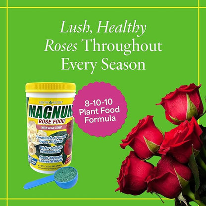 Grow More Magnum Rose Fertilizer (8-10-10) - 1.5lbs of USA-Made Rose Food - One-Step Water-Soluble Fertilizer to Increase Bloom & Growth
