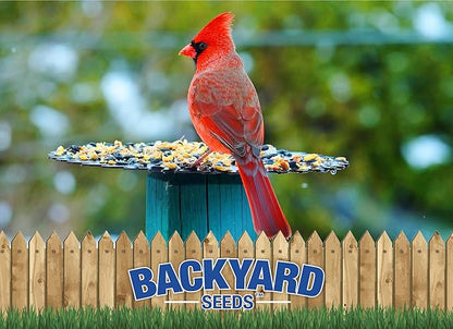 CountryMax Backyard Seeds Premium Bird Seed 20Lbs - Supreme Wild Bird Food Blend for Outside Feeders, Medium Bag of Wild Bird Food