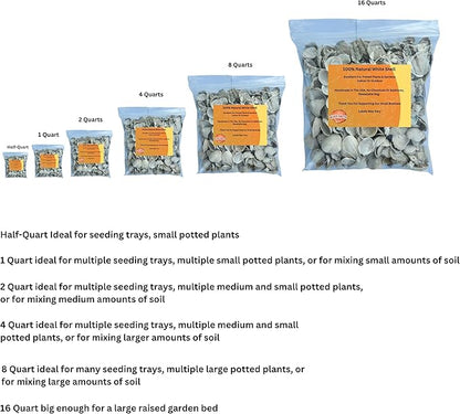 Versatile Shells for Outdoor Landscaping - Ideal Decorative Rocks for Plants Indoor & Outdoor, White Shell, Landscaping Stones. 2 Quart