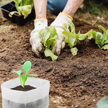 100Pcs Nursery Growing Bags，5.8"x5"nonwoven Fabric Seedlings Grow Bag for Plants，Fabric Plant pots,Potato, Flower, Tomato Solid Seed Starter Bags
