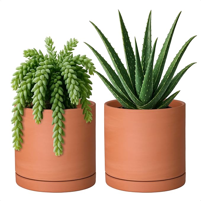 D'vine Dev Small 6 Inch Terracotta Plant Pot with Drainage Hole and Saucer, Round Cylinder Planter Pot for Indoor Plants, Set of 2, 40-X-B-3
