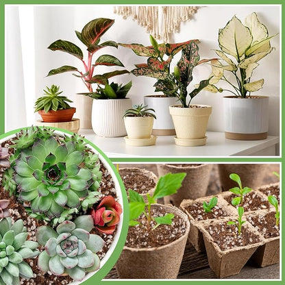 Coco Coir Perlite Mix - Retain Moisture, Improve Drainage & Aeration - Coco Peat Perlite Potting Mix, Loose Organic Potting Soil for Indoor Plants, 2 Quarts