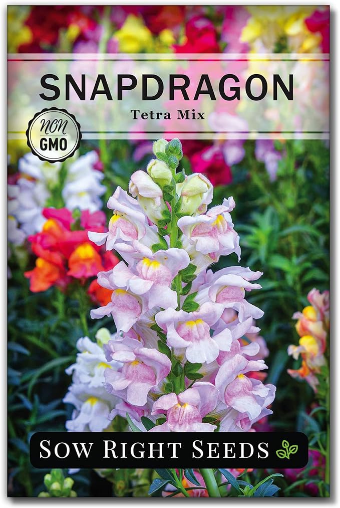 Sow Right Seeds - Dwarf Flower Seed Collection for Planting - Individual Packets of Zinnia Thumbelina, White Linen Poppy, Tetra Snapdragon, Dwarf Dahlia, and Sparky Marigold Non-GMO Heirloom Seeds