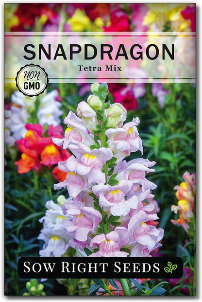 Sow Right Seeds - Dwarf Flower Seed Collection for Planting - Individual Packets of Zinnia Thumbelina, White Linen Poppy, Tetra Snapdragon, Dwarf Dahlia, and Sparky Marigold Non-GMO Heirloom Seeds