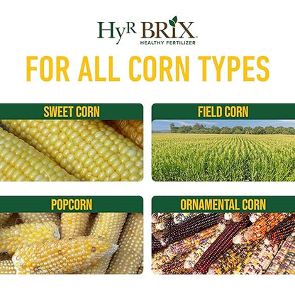 HyR BRIX Slow-Release 16-7-10 Sweet Corn Fertilizer, 5lb Bucket - Corn Food with Calcium & Sulfur - Essential Micronutrients for Big, Uniform Ears & Sweet Flavor